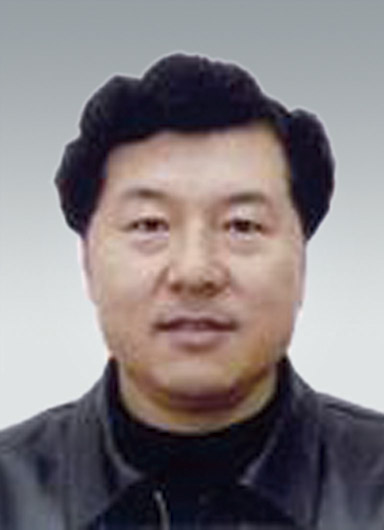 Jingpu Bai Vice President, Deputy General Manager of Angang Steel Group Corporation